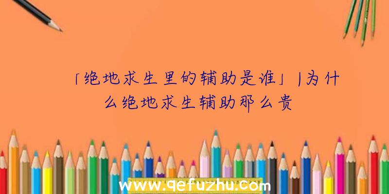 「绝地求生里的辅助是谁」|为什么绝地求生辅助那么贵
